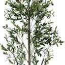 Olive Tree, 6FT Tall Faux Olive Tree with Lights Moss and Planter, Olive Trees Artificial Indoor with Realistic Wood Trunk and Lifelike Fruits, Fake Olive Tree for Home Office Living Room Decor