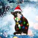 2 x Tuxedo Cat Christmas Acrylic Ornament  Black and White Cat Ornament, Customizable with Name - Easily Add Name with Marker (Marker Not Included)