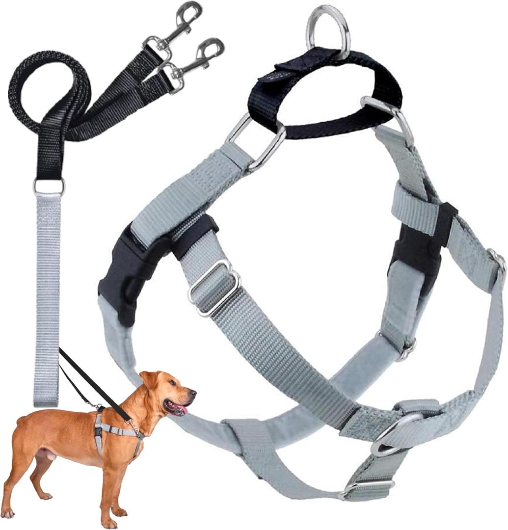 2 Hounds Design Freedom No Pull Dog Harness, Adjustable Harness and Leash Set, Easy Walking & Comfortable Control, Fits  Dogs, Solid Colors, Made in USA, 1" MD, Silver 1" MD (Chest 24" - 28")