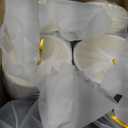 Promora 16 oz Disposable Brown Coffee Cups with Lids & Sleeves, Premium Paper Cups (100 Pack) (Brown and Black)