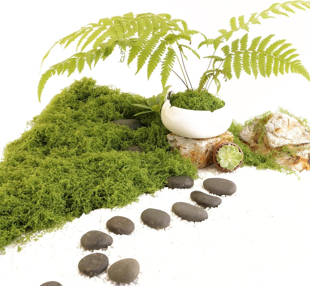 2 x Light Green Moss for Crafts Artificial Moss Decorative for Glass Vase Filler Wedding/Christmas/Fairy Party/Indoor Planters/DIY Rainforest Model/Table Centerpieces (2.1 OZ)