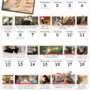 Bad Cat Wall Calendar 2026: Celebrating the Misfits of the Feline World