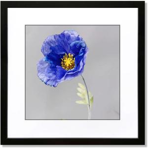VNVNK 17x17 Frame Black, Perfect for 17x17 Inch Picture without Mat or 13x13 Inch Picture with Mat, Home Wall Decor Picture Frame-1 PCS