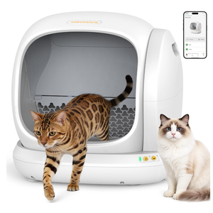 Meowant Self Cleaning Cat Litter Box - Open-Top Automatic Litter Box with APP, 0 Risk of Stuck Cats, Safer Automatic Litter Boxs, Low Entrance for Multiple Cats