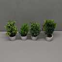 FAVOWREATH 4 Pack Fake Plants Ceramic Mini Artificial Greenery Potted Plants for Home Decor Office Decor Room Decor Farmhouse Decor Indoor Table Bathroom Decor (White)