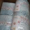 Pampers Swaddlers Diapers, Size 3 (13-26 lbs), 168 Count, Fragrance Free, Hypoallergenic, Absorbent, Pediatrician Recommended, Skin Safe