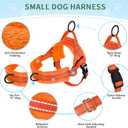 Lukovee No Pull Dog Harness and Leash Set, Soft Padded Small Dog Harness, Neck & Chest Adjustable Reflective Vest Puppy Harness with 4ft Lightweight Anti-Twist Dog Leash for Small Dogs (Orange, S)