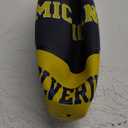 Rhode Island Novelty 9.5" Michigan Reg. Basketball