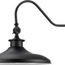 Globe Electric 44095 Aedan 1-Light Swivel Wall Sconce, Black Finish, 12"