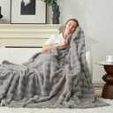 Cozy Bliss Fluffy Faux Fur Throw Blanket for Couch,Lightweight Cozy Soft Grey Throw Blankets for Sofa Bed Living Room,60x80 Inches