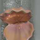 LED Ceramic Shell Pearl Light, Portable Ocean-Inspired Night Light Tabletop Light, Streamer Fairy Shell Night Lamp for Bedside Living Room Home Decoration (Pink)