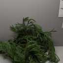 2Pack 9FT Christmas Garland Real Touch Norfolk Pine Garlands,Lifelike Greenery Garland for Mantle Fireplace Stairs Table Porch Decorations, Green Garland for Indoor Outdoor Winter Holiday Xmas Decor