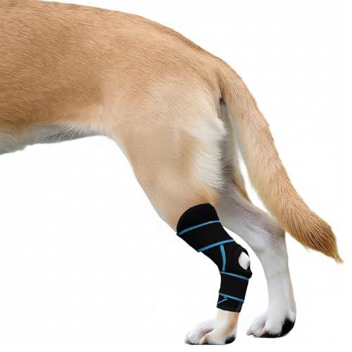 SHARKBEEPOWER Dog Knee Brace for Back Leg, ACL Support for Large Dogs, Adjustable Dog Leg Brace for Hind Leg Injuries, Canine Joint Wrap for Arthritis Recovery (L)