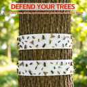 6 Rolls Spotted Lanternfly Traps Ant Insect Barrier, 30 ft Each, Outdoor Fly Tree Trap Sticky Strips Tree Trunk Wraps to Protect Trees, Fruit & Plants, Pest Control Lawn & Garden