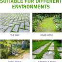 3Pack Steel Wire Grass Trimmer Head, 6 Inch String Trimmer Replacement Head, Universal Steel Wire Weed Trimmer Head for Most Lawn Mower,Spindle 0.2 inches (1PCS, 6 Blade)