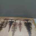 Vintage Pine Trees wall art,Retro Farmhouse Wall Decor Art Pictures,Country Nature-InspiredLandscape Canvas Posters Prints for Living Room, Bedroom,Cabin,Wood Frame 12x16in