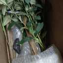 Olive Tree 6FT Fake Tree Faux Plants Indoor with Pot Artificial Tree Nearly Natural Olive Branches and Fruits for Living Room Home Office Decorations