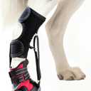 Toe Grips for Senior Dogs,Strap-On Drop Foot Brace for Dogs Dog Knee Pads,Corrective Dog Shoes to Safely Lift Toes for Foot Issues, Arthritis, and improving Walking gait in Dog(XL) (Extra Large)