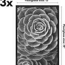 Americanflat 13x19 Picture Frame with Polished Front Cover - Set of 3 - Slide-In Photo Frame with Buildable Molding - Fusion Collection - Picture Frames for Wall Display - Black