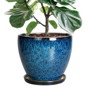 EPFamily 10 Inch Ceramic Planter Pot Round Plant Pot for Indoor Plants Outdoor Large Flower Pot with Drainage Hole and Saucer Blue