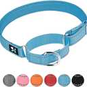 Adjustable Martingale Safety Training Dog Collars, Soft Neoprene Padded Breathable Nylon Pet Collar for Small Medium Large Dogs (L, Blue)