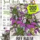 10 x Seed Needs Spotted Bee Balm Seeds to Plant Horsemint Flowers/Herbs 1 Pack