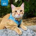 Best Pet Supplies Voyager Step-in Air Harness - All Weather Mesh, Reflective, No Pull Harness for Dogs, Cats - Secure with Hook & Loop Fastener, Buckle, Double D-Rings - Baby Blue, S