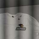 Lindenwood Lions Left Chest Icon Officially Licensed T-Shirt XL