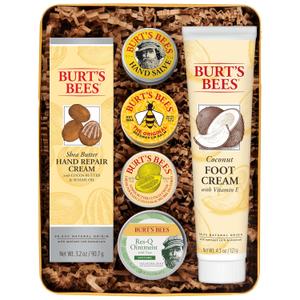 Burt's Bees Gifts Ideas - Classics Set, 6 Products in Giftable Tin  Cuticle Cream, Hand Salve, Lip Balm, Res-Q Ointment, Hand Repair and Foot Cream