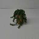 Juvale String of Pearls Plant Artificial - Water-Free Display for Home & Shelf Decor - Event-Ready Table Plant for Living Room & Kitchen Decor - Compact Desk Accent & Indoor Greenery - 4x6.5 in, Iron