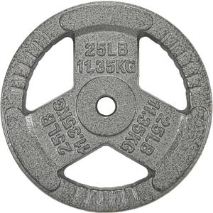 1-Inch Cast Iron Weight Plate for Strength Training & Weightlifting, 25LB (Single)