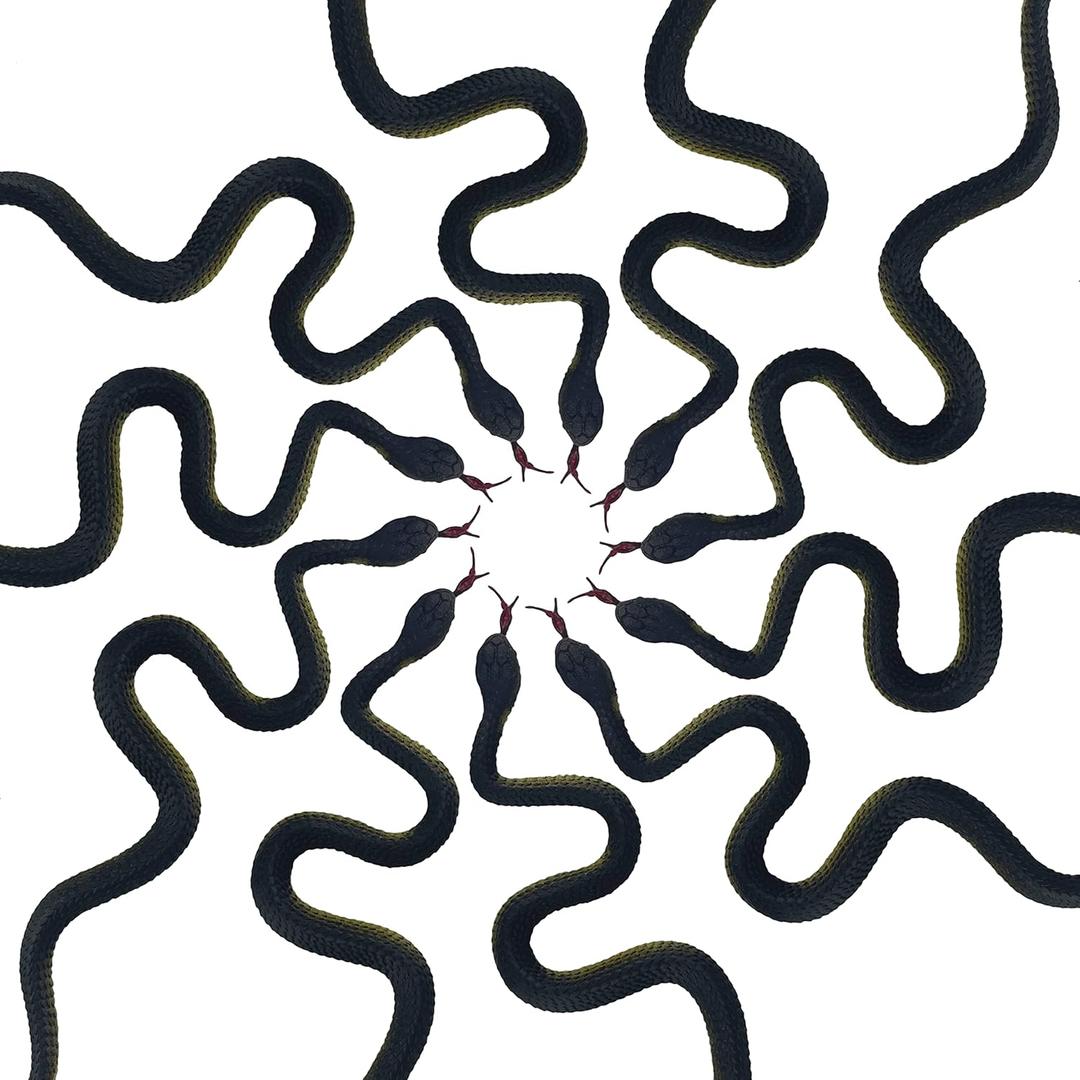 Realistic Snake Toy, 10 PCS Lifelike Snake, Gag Gift for Halloween, April Fool's Day, Party Decoration (Black)