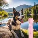 Stainless Steel Dog Travel Water Bottle, Vacuum Insulated Portable Dog Water Dispenser, Drink Cup and Snack Container On The Go, Outdoor Walking, Hiking, Travel (Pink)