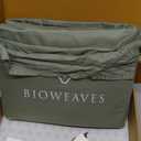 BIOWEAVES 100% Organic Cotton Sheets, 300 Thread Count 4-Piece GOTS Certified Bed Sheet Set Fits Mattress Upto 17" Deep Pocket, Soft & Silky Sateen Weave (Queen, Basil)