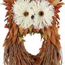 winemana Fall Wreaths for Front Door - 14 Inch Handmade Owl Wreath with Berries & Autumn Leaves, Fall Decorations for Home Outside Farmhouse, Thanksgiving Boho Harvest Decor for Porch