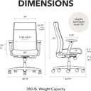 HON Ignition 2.0 Ergonomic Office Chair, Lumbar Support, Desk Chair, Black, Oversized