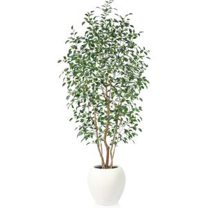 VeriNatural 8FT Artificial Ficus Tree, Indoor Faux Ficus Plant with Realistic Leaves & Natural Wood Trunk, 8ft Tall, Green, All Seasons, Perfect for Living Room Home Decor