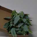Waydress 4 Pieces Candle Rings Artificial Eucalyptus Leaves Wreaths Small Boho Wreaths Rings Pillar Candle Holder for Wedding Home Door Tabletop Decoration (Cute Leaf Style)