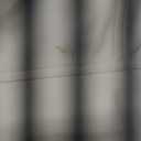 baleaf Women's Snow Bibs Pants Waterproof Insulated Ski Overalls Pants Snowboarding Winter Warm Snow Suit (White, M)