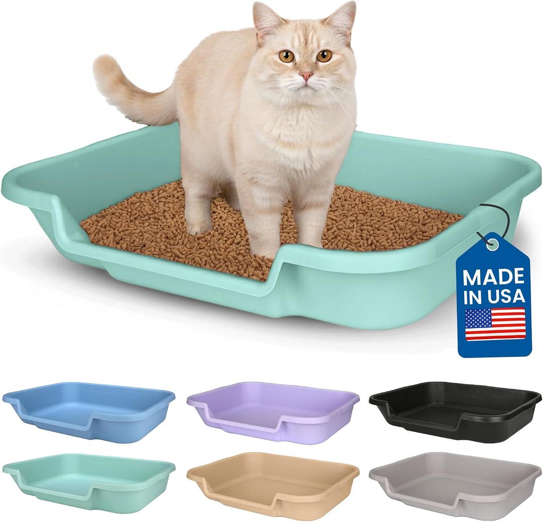 KittyGoHere Senior Cat Litter Box 1 Pack, Large Green Low Entrance Kitty Litter Box, Sized for Cats Comfort, Perfect for Senior and Arthritic Cats, Made in USA