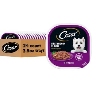 Cesar Filets in Gravy Adult Wet Dog Food, Filet Mignon Flavor, 3.5 oz. (24 Count, Pack of 1)