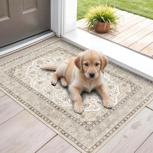 HILORUUG Washable Area Rug 2x4 - Entryway Living Room Large Indoor Rugs Soft Oriental Vintage Bedroom Rugs Non-Slip Backing Stain Resistant for Farmhouse Kitchen-2x4 Ivory