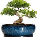 Bonsai Pots - 13 Inch Ceramic Succulent Pots for Indoor Outdoor, Large Succulent Planter with Drainage Hole and Saucer, Round Shallow Flower Planters, Porch Decor, Gardening Gifts, Blue