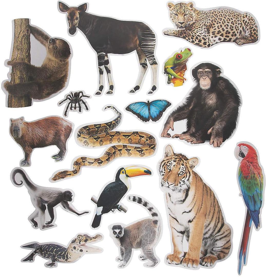 Fun Express Jumbo Realistic Rainforest Cutouts - VBS 2026 Vacation Bible School Supplies/Decor - Educational and Learning Activities for Kids - 15 Pieces