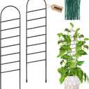 17.5 Inch Indoor Plant Trellis for Climbing Plants, Small Metal Garden Trellis for Potted Plants,Plants Accessories Hoya,Flower,Plant Support (Ladder-Metal)