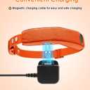 Replacement Charging Adapter with Cable Compatible with Halo Collar 4 5 Dog Fence, USB