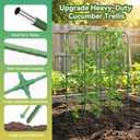 62" Tall Cucumber Trellis for Raised Bed, Garden Trellis for Climbing Plants Outdoor, U-Shape Metal Arch Vegetables Trellis Plant Support for Zucchini Squash Vines