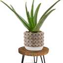 Plant Stand Indoor Outdoor, Wooden plant Stool, Mid Century Plant Stand for Indoor Plants, Wood Modern Plant Holder Rattan Flower, Low Short Boho Rustic Planter Stand Fit 5-15 Inch Pot(M) (Dark Brown)