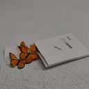 Chuangdi Feather Monarch Butterfly Christmas Decorations 3size Artificial Monarch Butterfly 3D Realistic Wall Decor for DIY Craft Wedding Party Christmas Tree Decor (Orange, 36 Pcs)