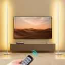 EDISHINE Modern Floor Lamp, 2-Pack Adjustable Height Led Corner Lamps, Dimmable with 7 Color Temperatures (2700K-6000K), 57.5" Height Floor Lamps for Living Room, Bedroom, Office, Silver